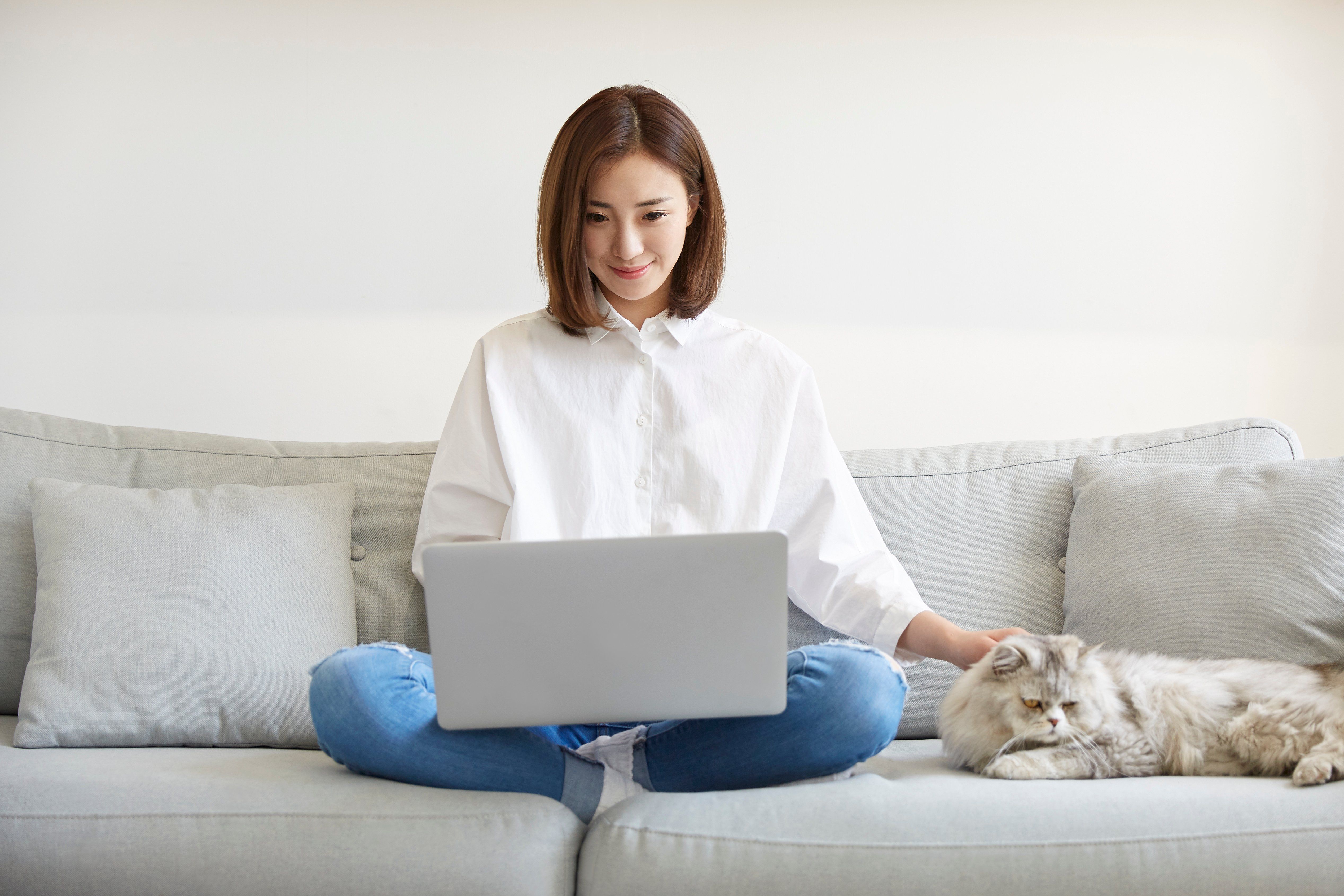 young asian woman working at home using laptop computer while petting cat