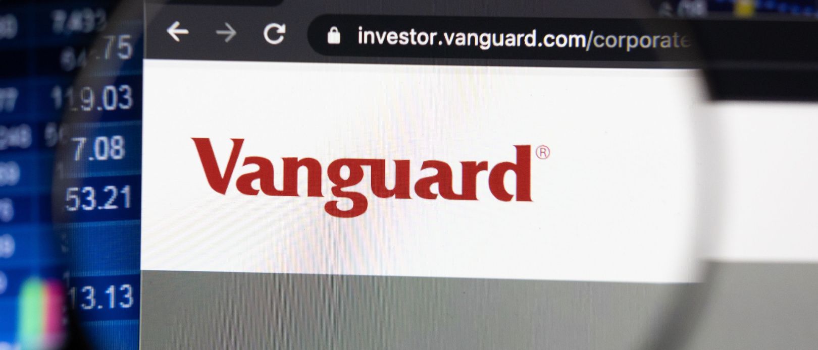 Vanguard company logo on a website with blurry stock market developments in the background